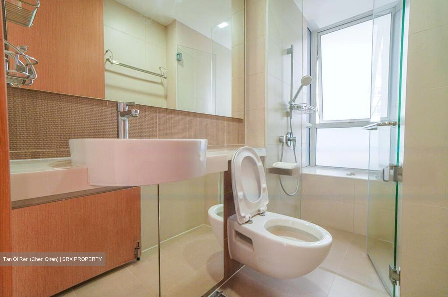 The Regency At Tiong Bahru (D3), Condominium #568196081